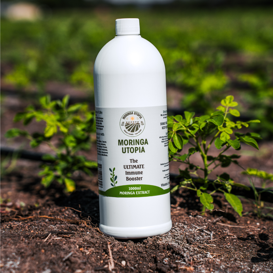 1l Moringa Juice Extract Organic Moringa Extract Juice Moringa Utopia Moringa Juice 1l For Sale Front Image