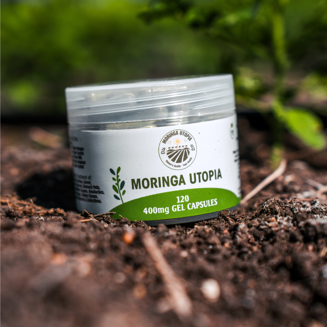 400mg Moringa Capsules Organic Moringa Capsules Moringa Utopia Moringa Capsules 400mg For Sale Front Image