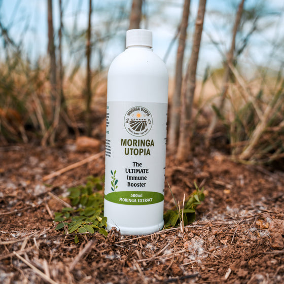 Moringa leaf juice concentrate from Limpopo-grown moringa