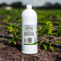 Moringa Leaf Juice Concentrate — Unsweetened