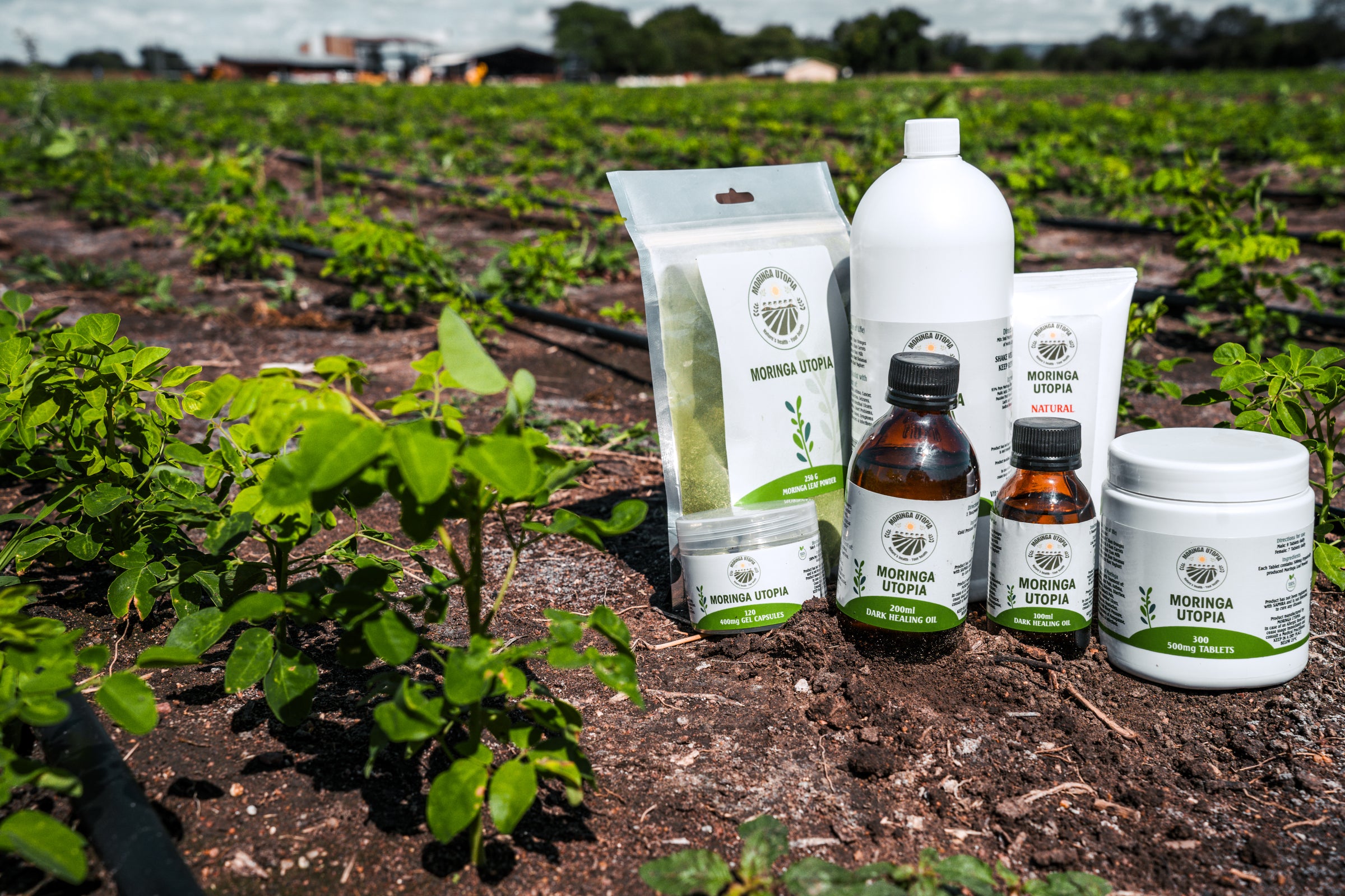 The Moringa Utopia product range standing between young moringa trees in the field on the farm in Mookgopong, Limpopo