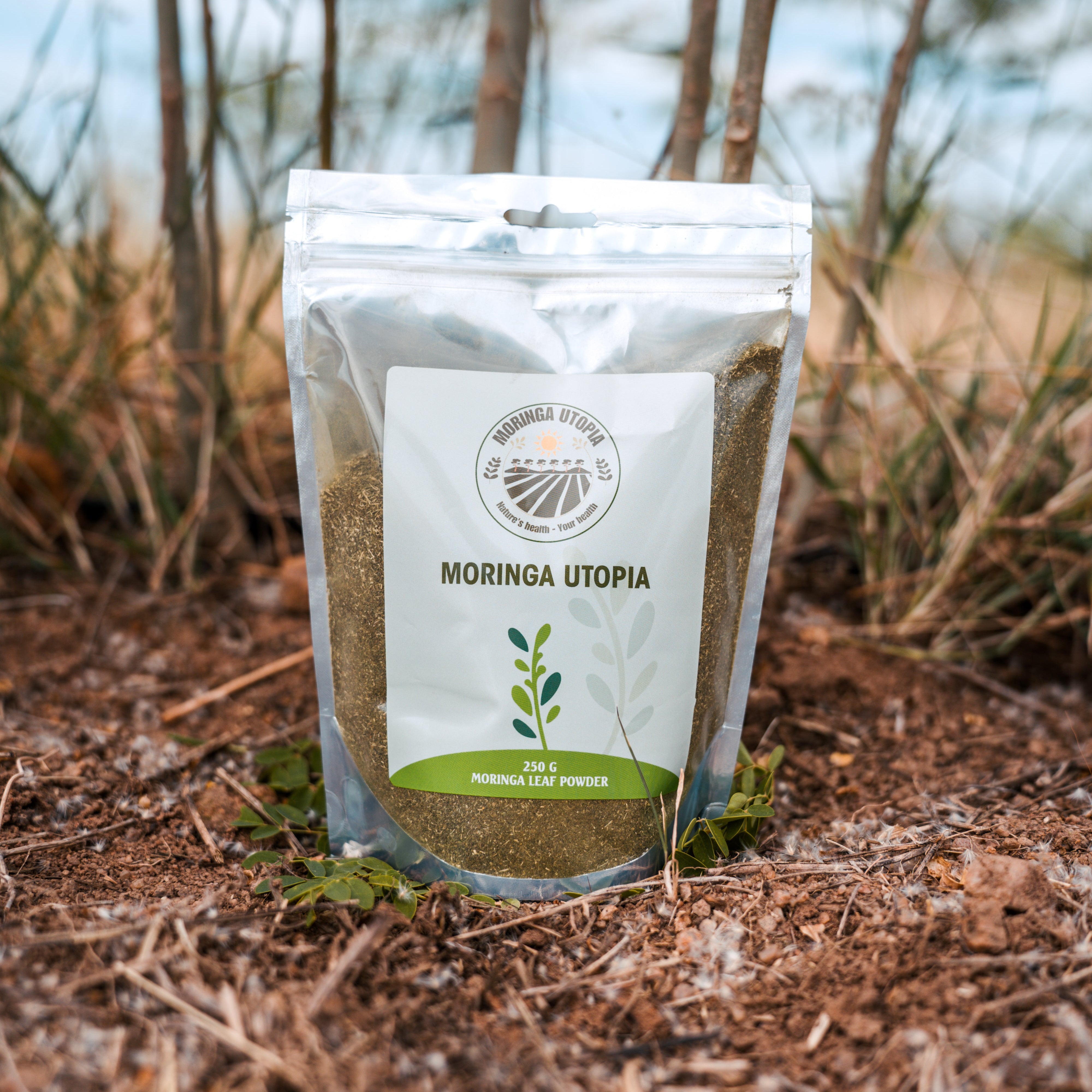 Moringa powder package labeled 'Moringa Utopia' on a natural background